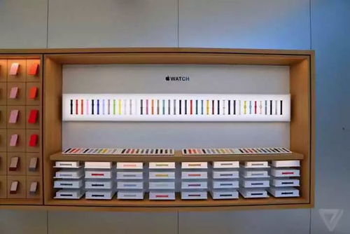 苹果店的启示 计算机软硬件零售的精致化管理